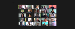 UNDP Nepal Zoom meeting electoral assistance ECN